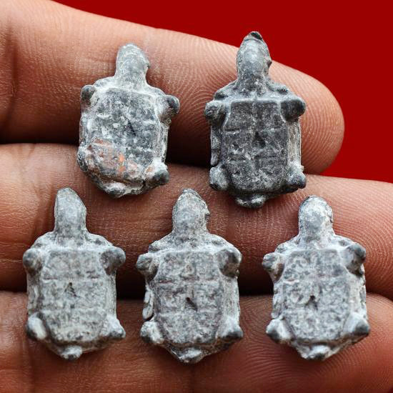 ✨ Fortunate Protector – Miniature Turtle Amulet by Phra Kru Noi for Wealth, Luck & Spiritual Defense