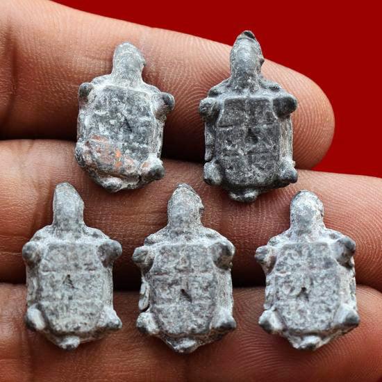 ✨ Fortunate Protector – Miniature Turtle Amulet by Phra Kru Noi for Wealth, Luck & Spiritual Defense
