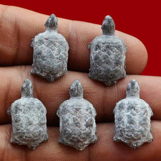 ✨ Fortunate Protector – Miniature Turtle Amulet by Phra Kru Noi for Wealth, Luck & Spiritual Defense
