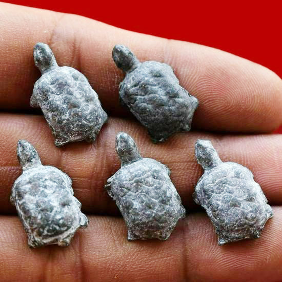 ✨ Fortunate Protector – Miniature Turtle Amulet by Phra Kru Noi for Wealth, Luck & Spiritual Defense