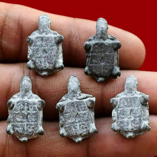 ✨ Fortunate Protector – Miniature Turtle Amulet by Phra Kru Noi for Wealth, Luck & Spiritual Defense