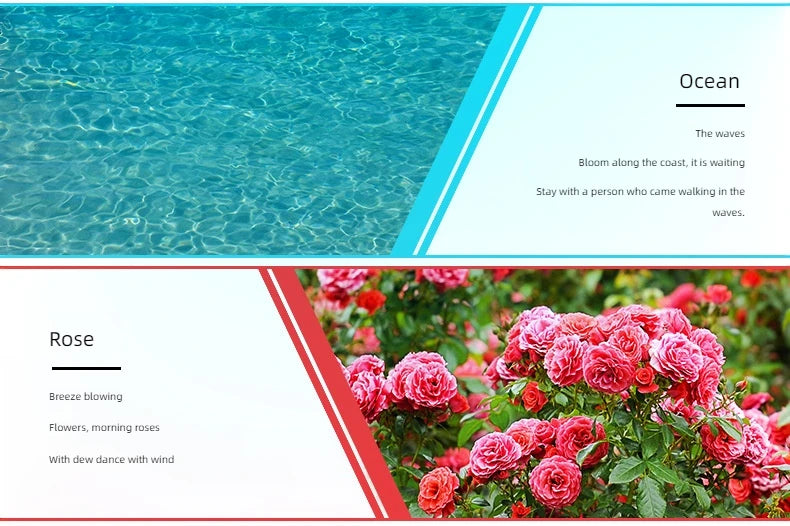 🌟 17 Flavors 10ml Essential Oils for Aroma Diffuser – Water-Soluble Natural Fragrance Oils for Home and AirHumidifier﻿