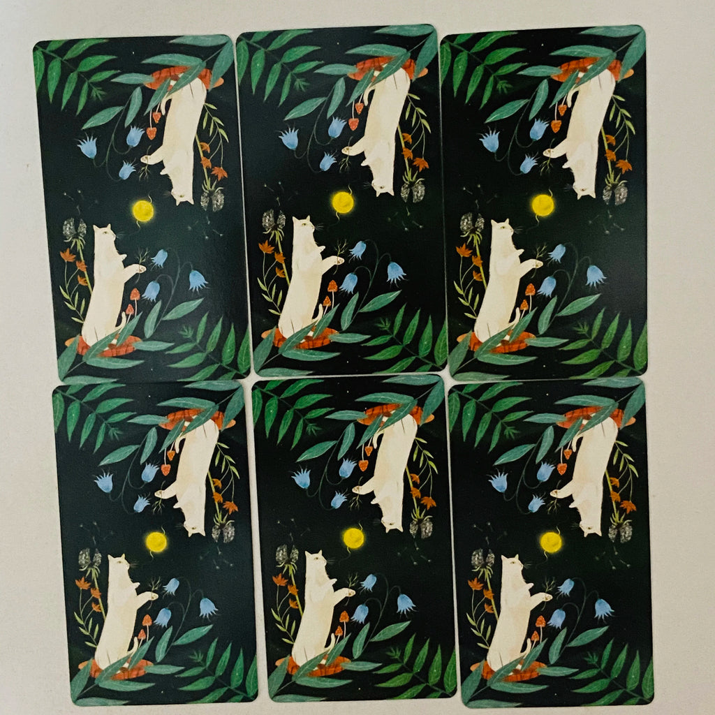 🃏 Enchanted Forest Felines Tarot Cards – 78 Cards Deck Featuring The Power of Cat-omancy, Perfect for Cat Lovers and Spiritual Readings