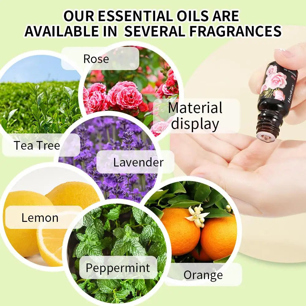 🌿 Aromatherapy Essential Oil Set – 10ml Bottles | Natural Plant Extracts | Lemon, Eucalyptus, Lavender, Jasmine, Rose, Mint, Orange | Diffuser, Humidifier & Air Freshener | Pure Fragrance for Relaxation & Wellness