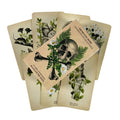 Memento Mori Lenormand Deck – 85-Card Hybrid for Deep Divination and Family Game Fun
