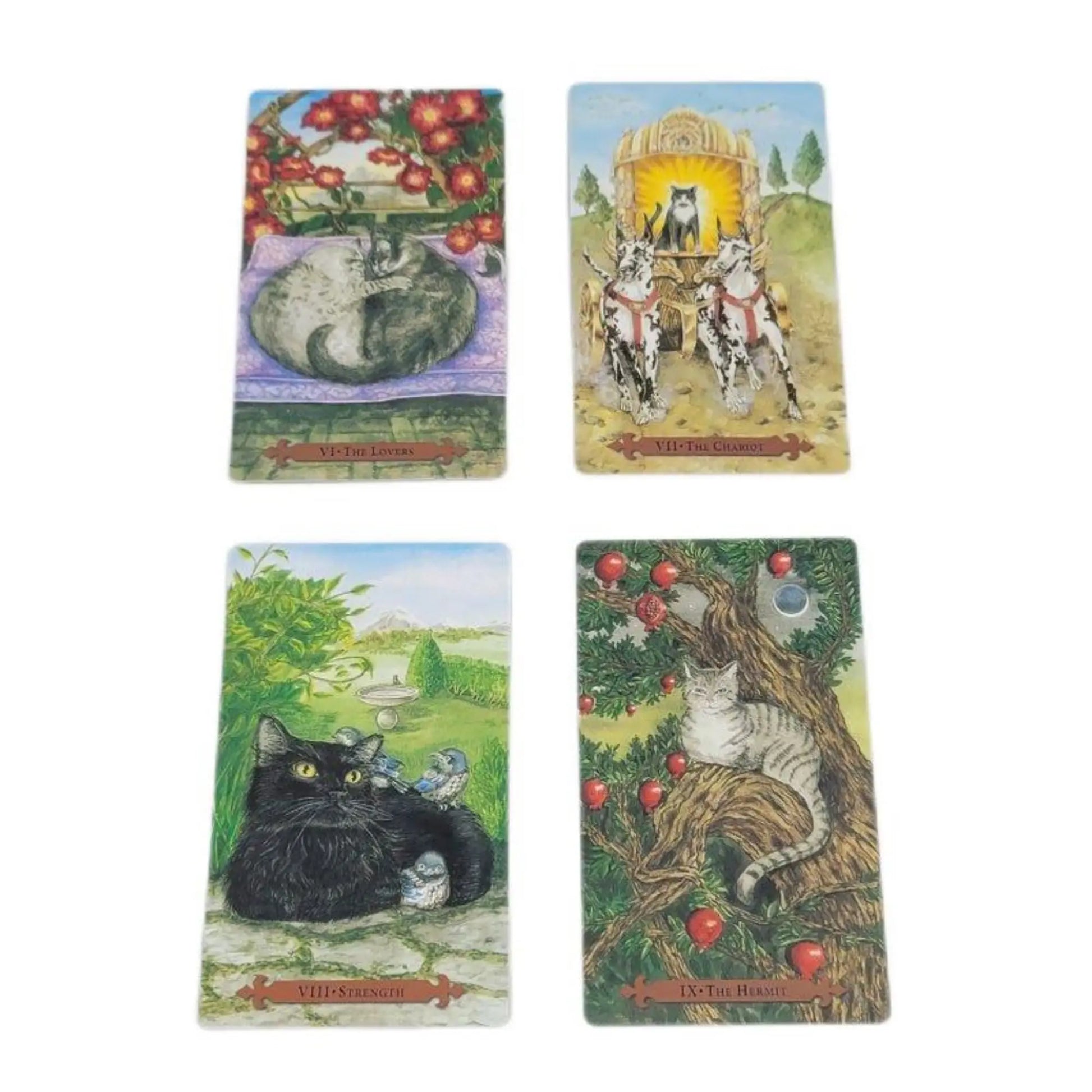 Mystical Cat Tarot – 78-Card English Deck | Cat-Themed Oracle Cards for Parent-Child Interaction and Party Games (12 x 7 cm)