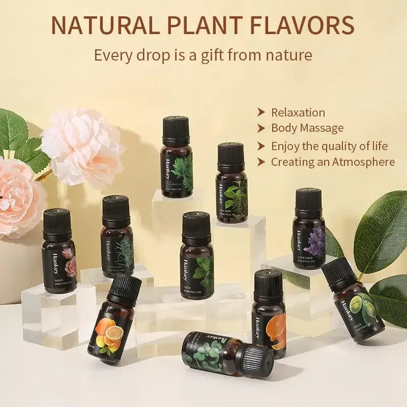 🌿 Aromatherapy Essential Oil Set – 10ml Bottles | Natural Plant Extracts | Lemon, Eucalyptus, Lavender, Jasmine, Rose, Mint, Orange | Diffuser, Humidifier & Air Freshener | Pure Fragrance for Relaxation & Wellness