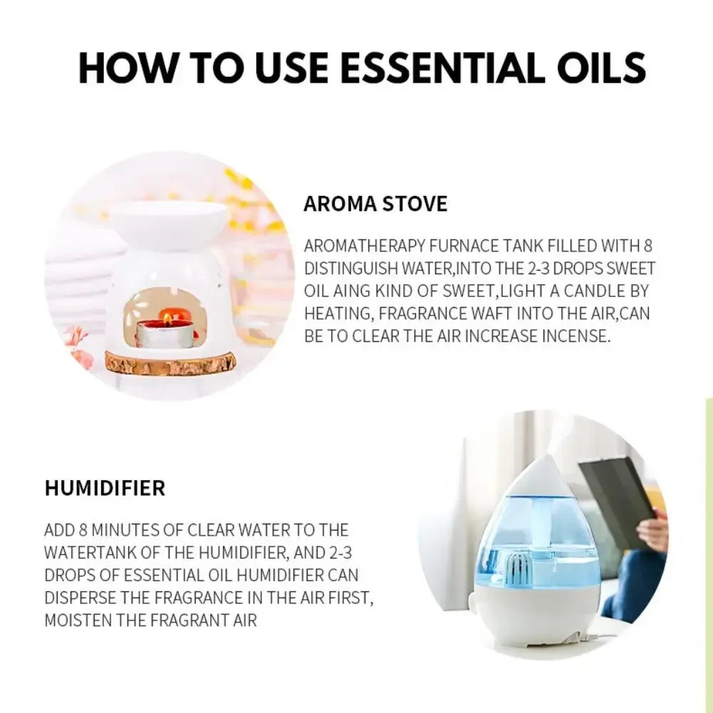 🌿 Aromatherapy Essential Oil Set – 10ml Bottles | Natural Plant Extracts | Lemon, Eucalyptus, Lavender, Jasmine, Rose, Mint, Orange | Diffuser, Humidifier & Air Freshener | Pure Fragrance for Relaxation & Wellness