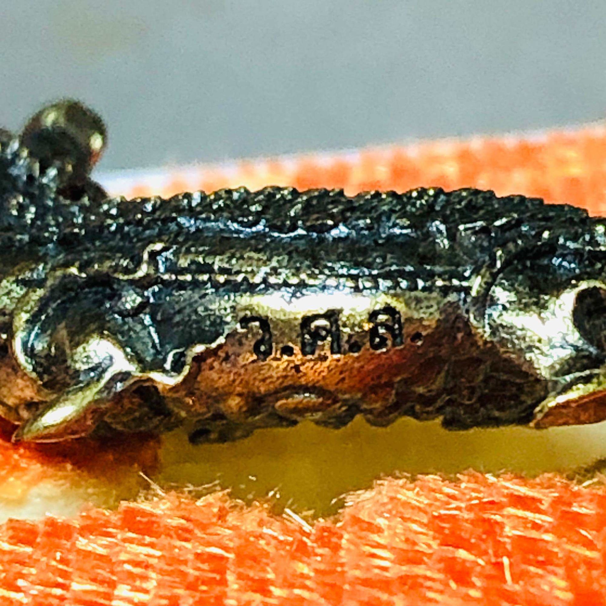 Phaya Kumphee Crocodile Amulet – Billionaire Fortune & Indestructible Protection | Blessed by Phra Ajarn Tao (Sa Kaeo)