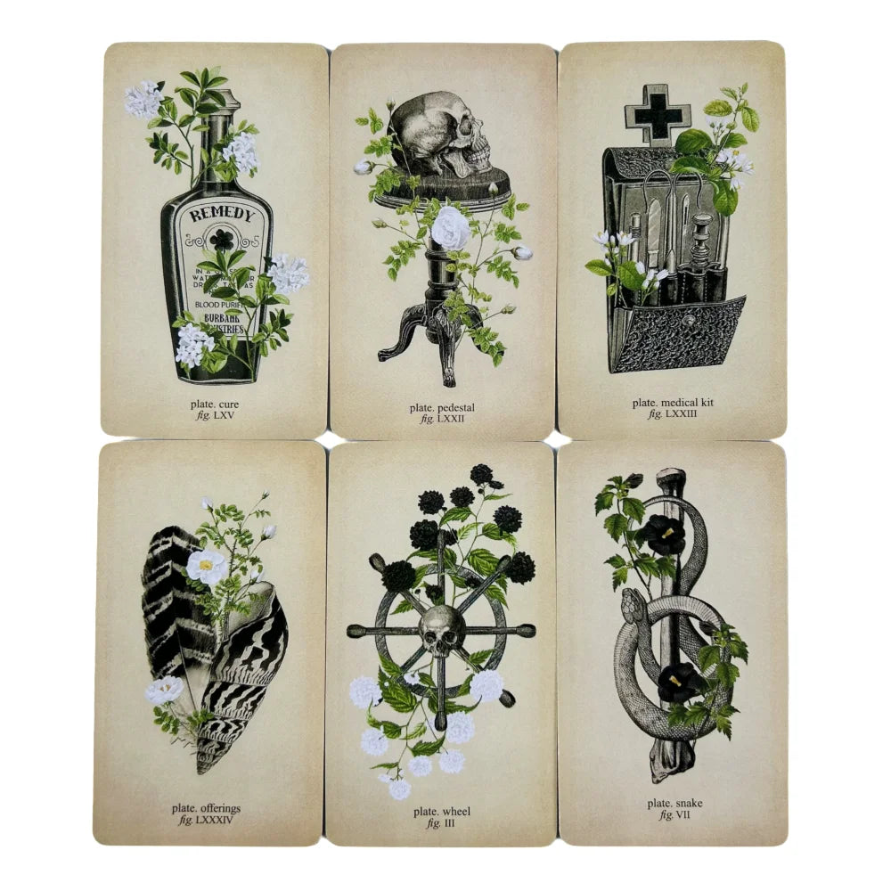 🖤Memento Mori Lenormand and Oracle Deck – 85-Card Tarot and Lenormand Hybrid for Deep Divination, Fate Connection & Family Board Game Fun