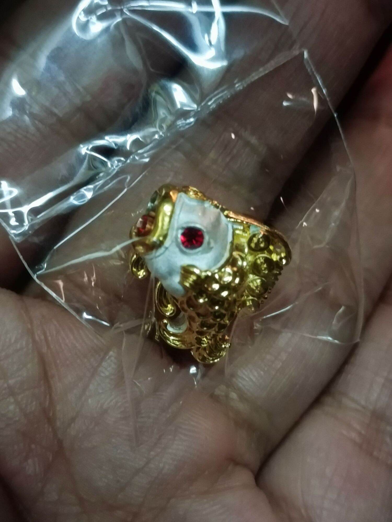 🐟 Boost Your Luck and Wealth Instantly with the Fortune-Enhancing Fish by Kruba Kham Peng!