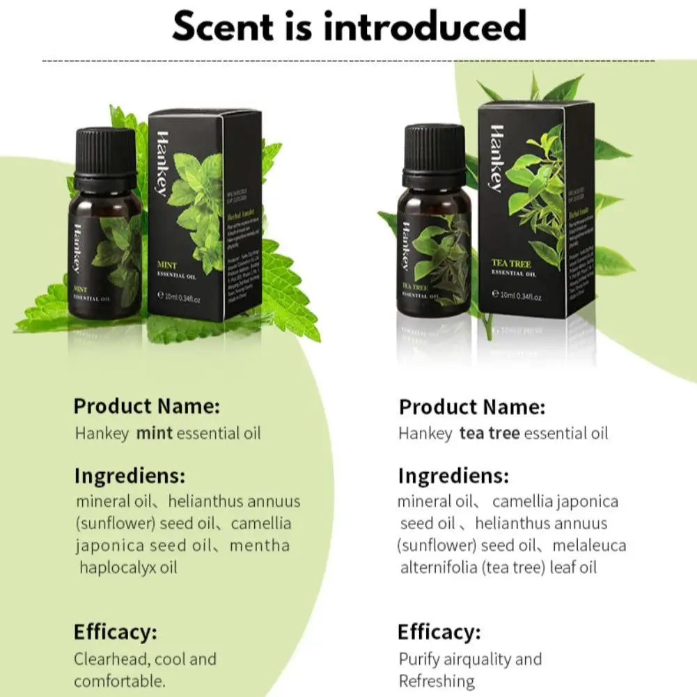 🌿 Aromatherapy Essential Oil Set – 10ml Bottles | Natural Plant Extracts | Lemon, Eucalyptus, Lavender, Jasmine, Rose, Mint, Orange | Diffuser, Humidifier & Air Freshener | Pure Fragrance for Relaxation & Wellness