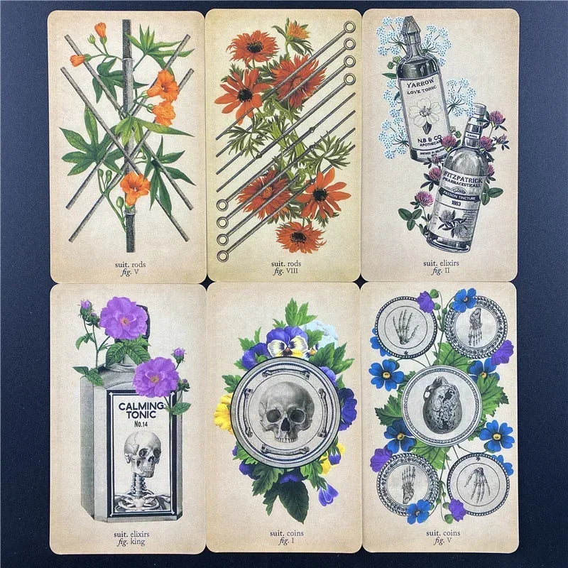 🦴 The Antique Anatomy Tarot Deck – 78 Cards | Vintage Anatomical & Botanical Illustrations | Full-Color English Guidebook Included | Divination, Meditation & Family Board Game | Luxury Foil-Stamped Keepsake Box