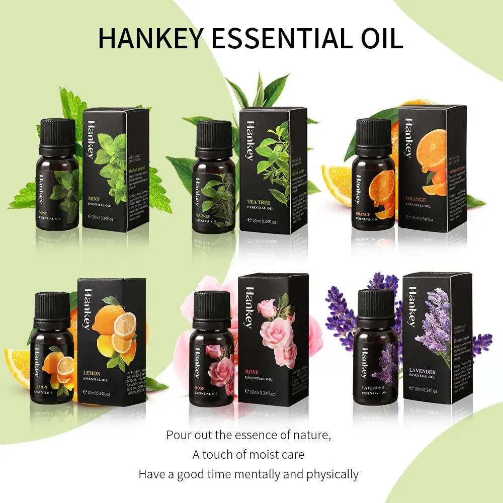 🌿 Aromatherapy Essential Oil Set – 10ml Bottles | Natural Plant Extracts | Lemon, Eucalyptus, Lavender, Jasmine, Rose, Mint, Orange | Diffuser, Humidifier & Air Freshener | Pure Fragrance for Relaxation & Wellness
