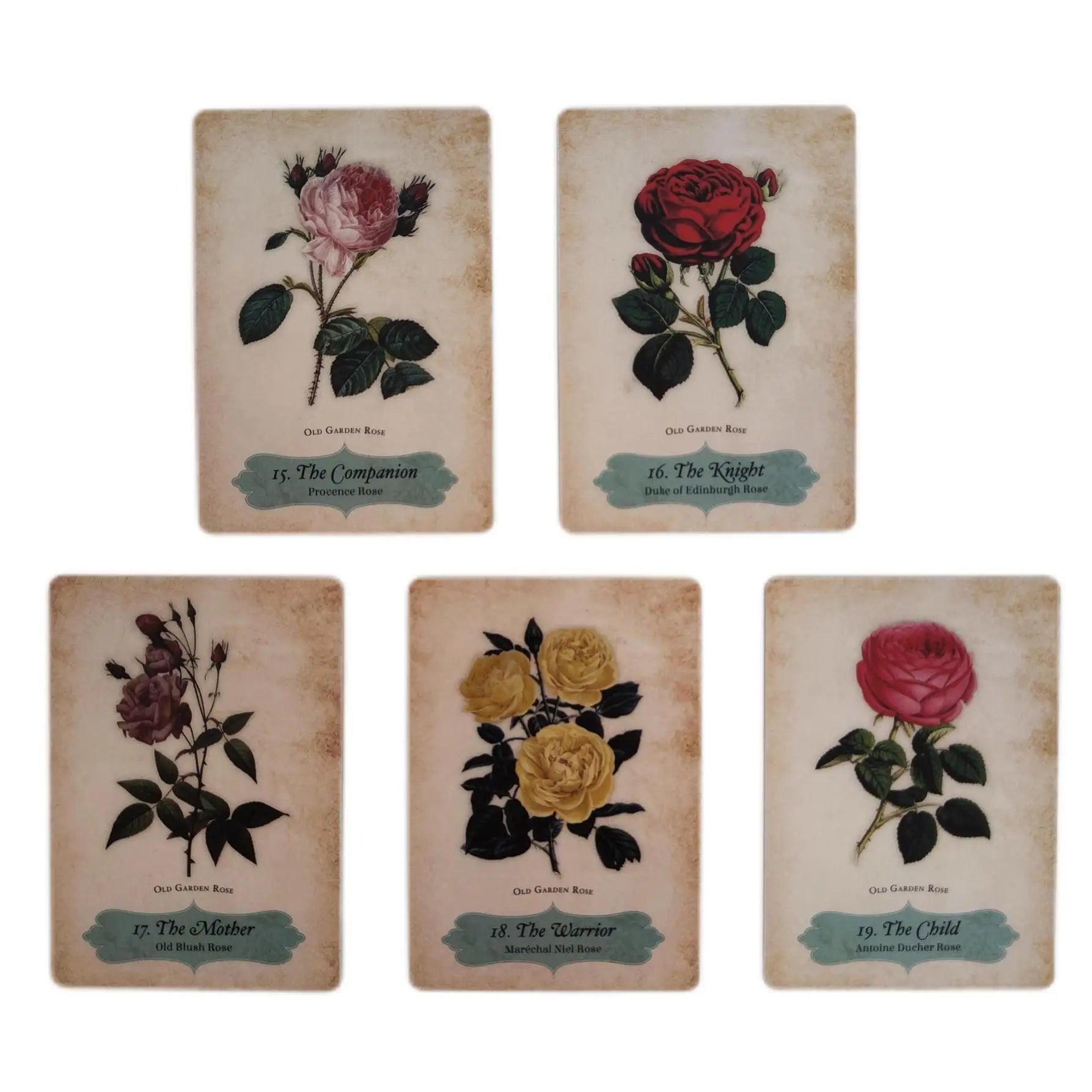 🌹 Oracle of The Roses – 44-Card Deck with Electronic Manual for Family Party Fun, Divination, and Board Games