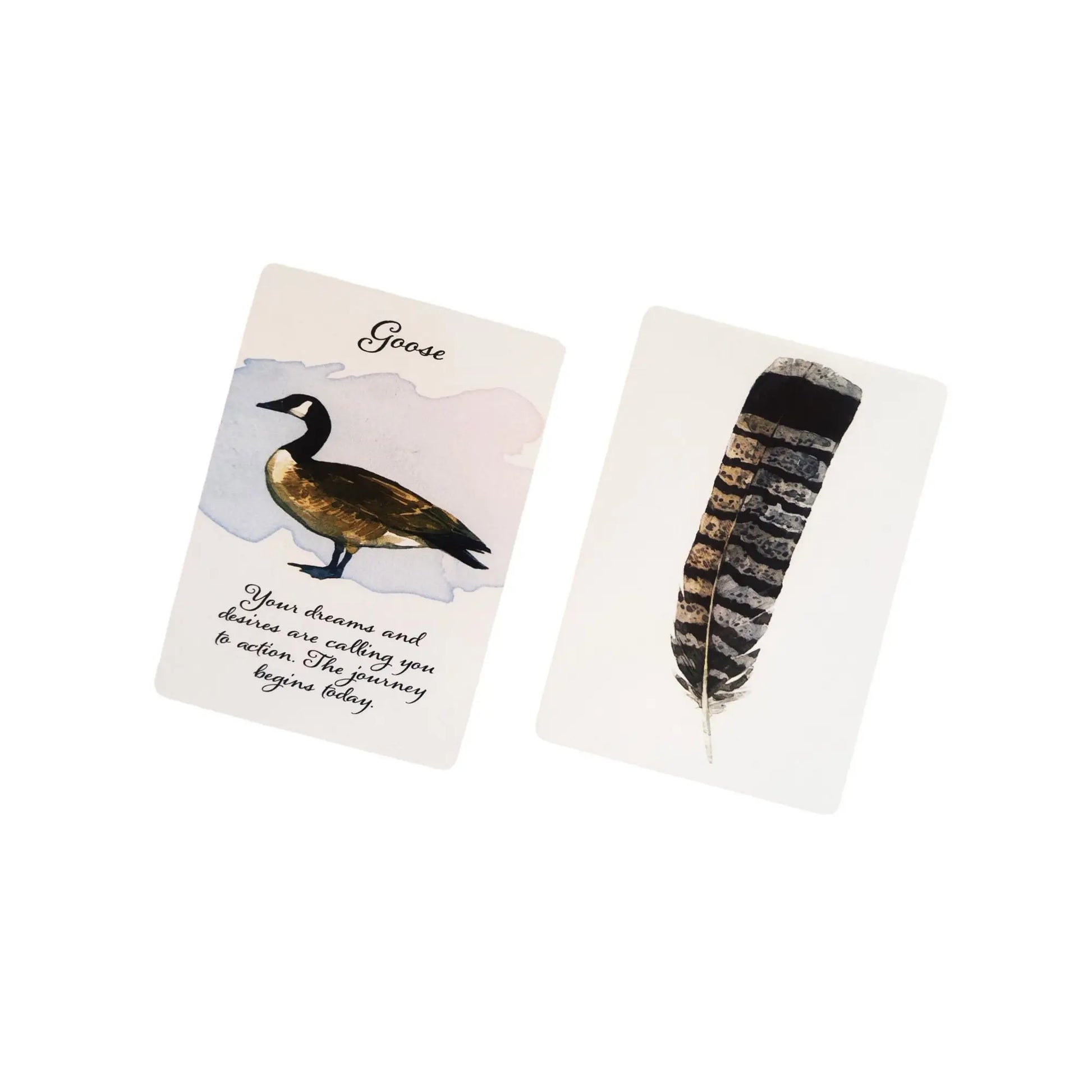 🔥Divine Feather Messenger Tarot Oracle Cards | 44 Bird Symbolism Cards, 10.4x7.3cm for Divination & Board Games