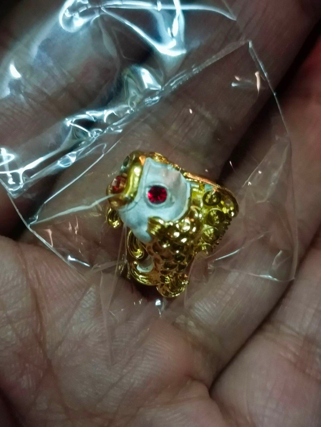 🐟 Boost Your Luck and Wealth Instantly with the Fortune-Enhancing Fish by Kruba Kham Peng!