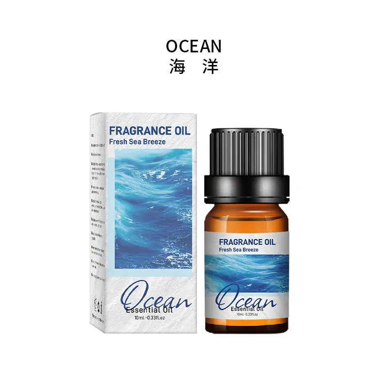 🚗 10ml Car Natural Plant Essential Oil – Water-Soluble Aromatic Refill for Auto Diffuser, Humidifier, and Air Freshener﻿ Ocean
