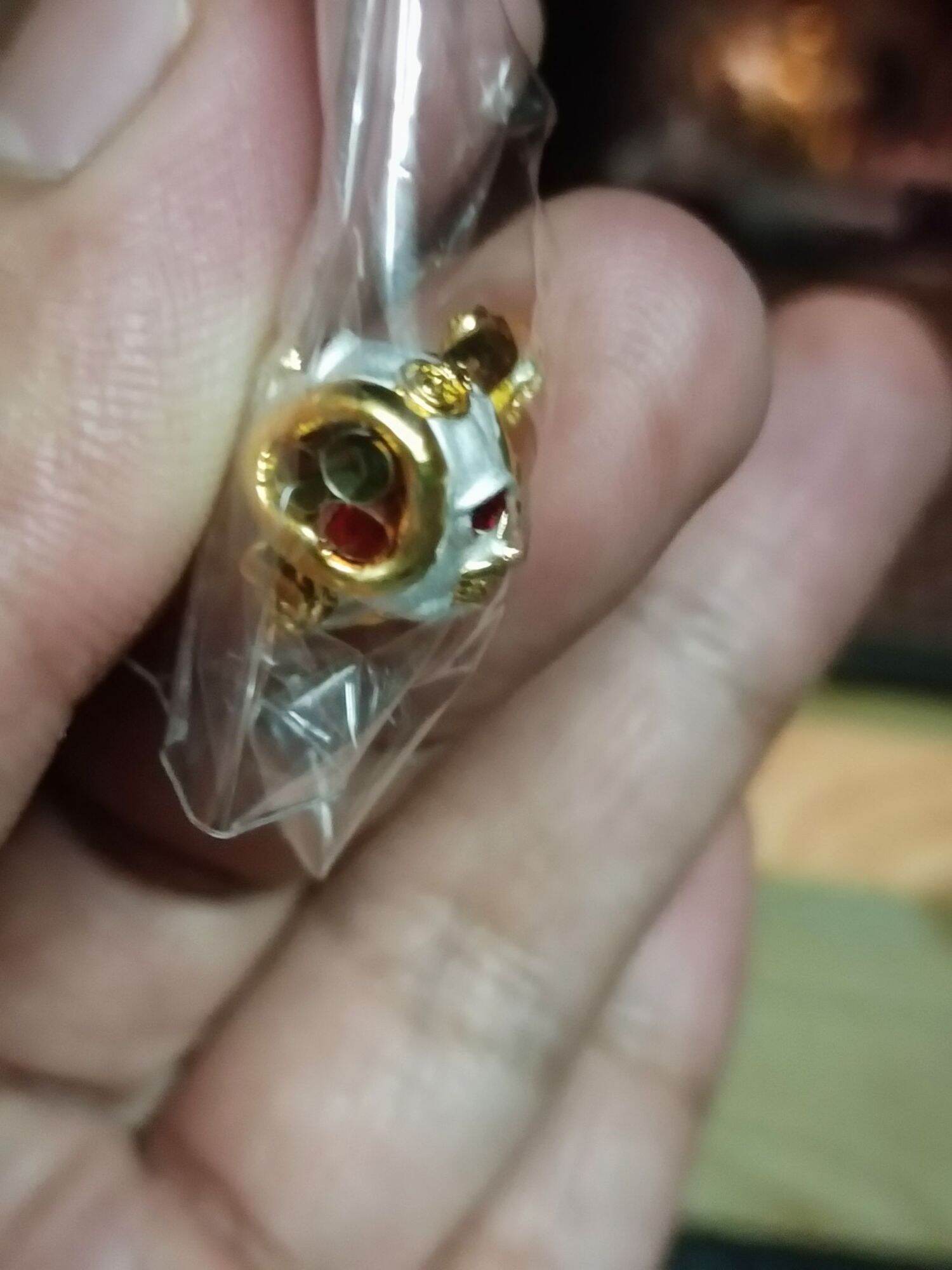 🐟 Boost Your Luck and Wealth Instantly with the Fortune-Enhancing Fish by Kruba Kham Peng!