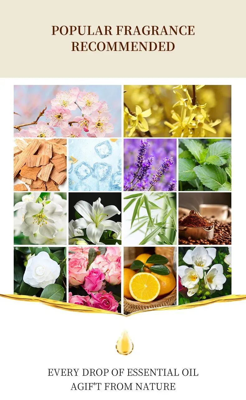 🌿 10ml Essential Oil Gift Box – Water-Soluble Natural Oils for Diffusers & Humidifiers: Lavender, Rose, Eucalyptus, White Peach, Oolong