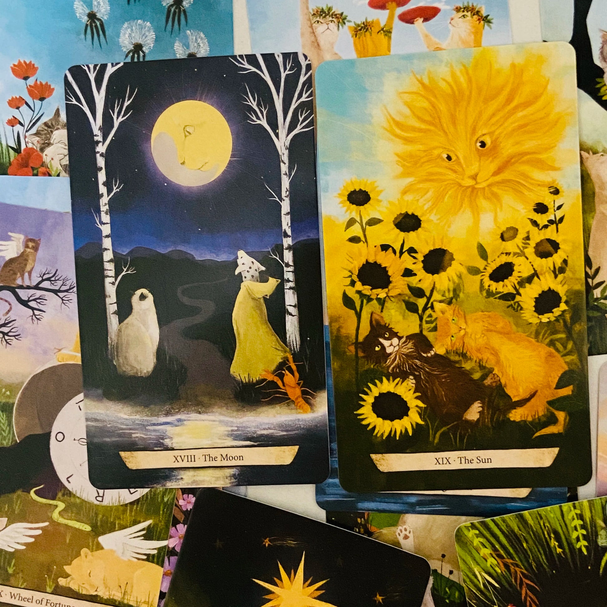 🃏 Enchanted Forest Felines Tarot Cards – 78 Cards Deck Featuring The Power of Cat-omancy, Perfect for Cat Lovers and Spiritual Readings
