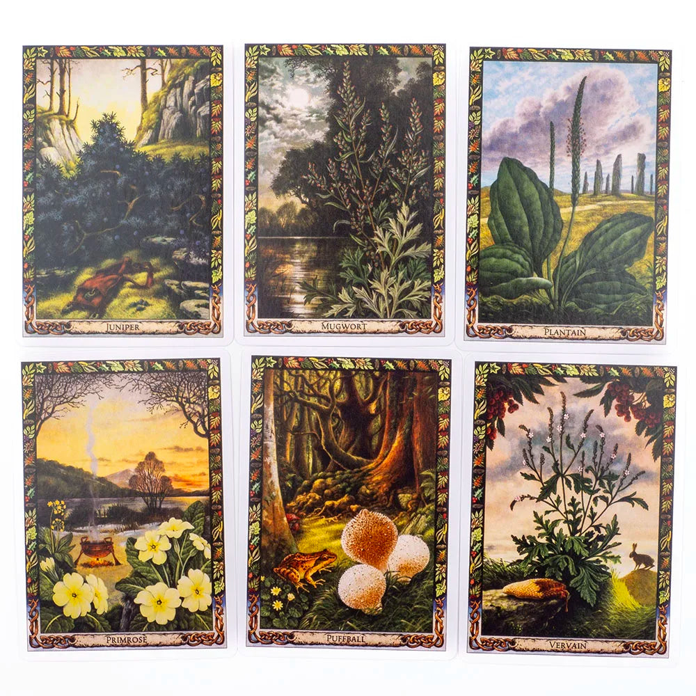 The Druid Plant Oracle – 39-Card Deck Featuring Magical Flora of The Druid Tradition with Guidebook for Divination & Board Games