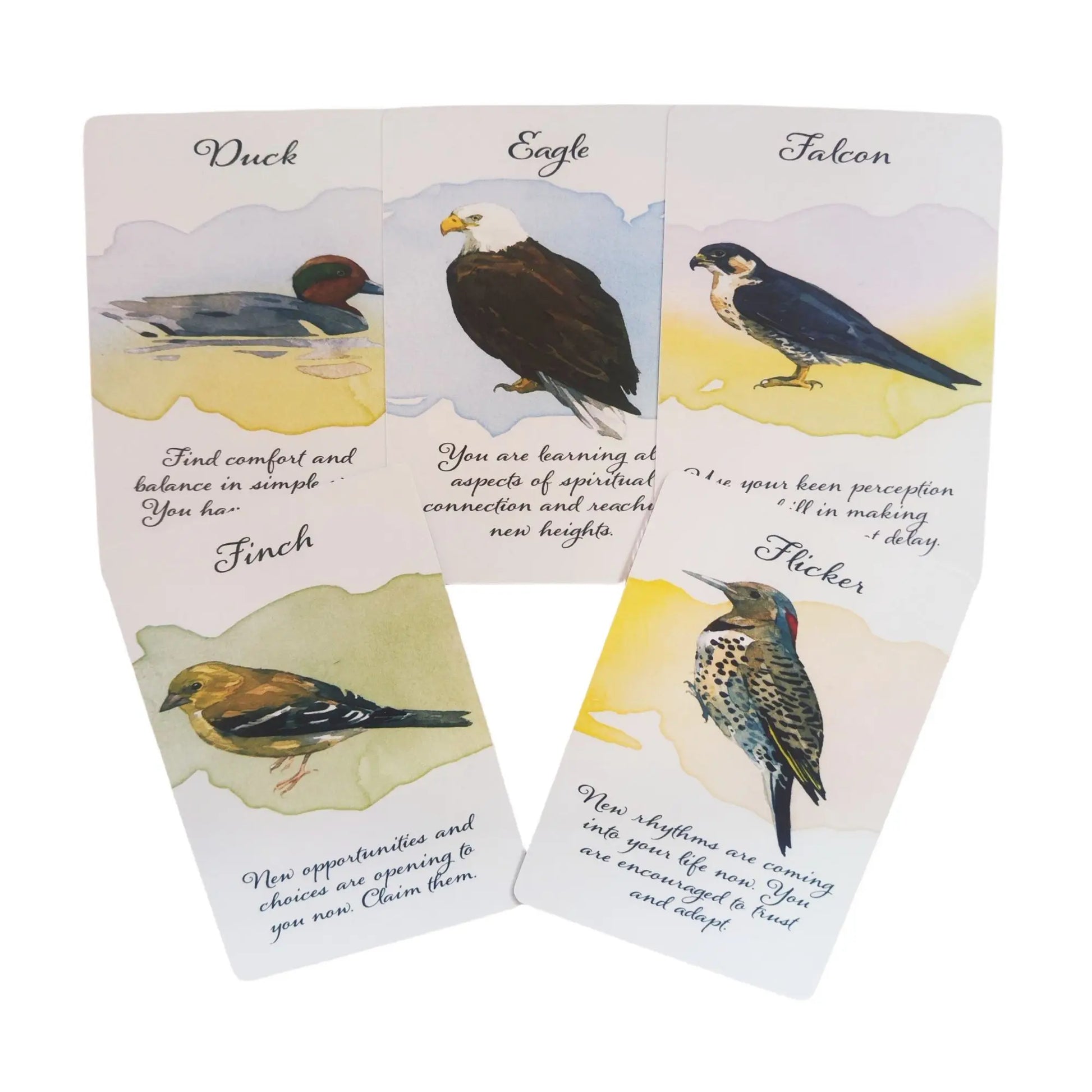 🔥Divine Feather Messenger Tarot Oracle Cards | 44 Bird Symbolism Cards, 10.4x7.3cm for Divination & Board Games