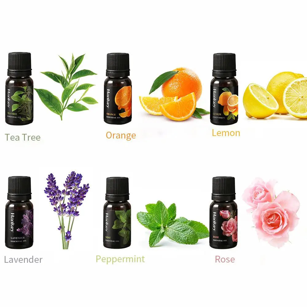 🌿 Aromatherapy Essential Oil Set – 10ml Bottles | Natural Plant Extracts | Lemon, Eucalyptus, Lavender, Jasmine, Rose, Mint, Orange | Diffuser, Humidifier & Air Freshener | Pure Fragrance for Relaxation & Wellness