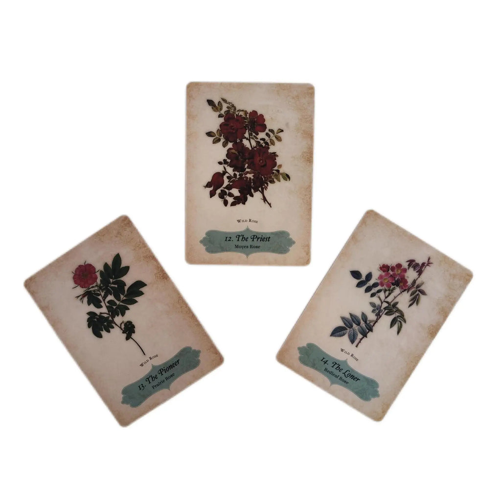 🌹 Oracle of The Roses – 44-Card Deck with Electronic Manual for Family Party Fun, Divination, and Board Games