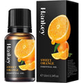 🌿 Aromatherapy Essential Oil Set – 10ml Bottles | Natural Plant Extracts | Lemon, Eucalyptus, Lavender, Jasmine, Rose, Mint, Orange | Diffuser, Humidifier & Air Freshener | Pure Fragrance for Relaxation & Wellness 10ml Orange