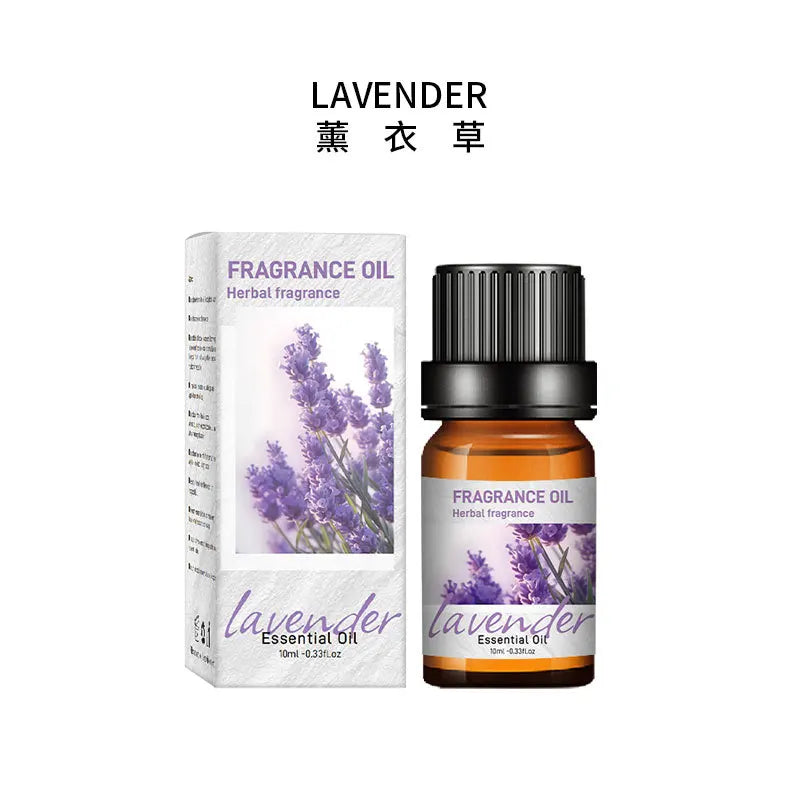 🚗 10ml Car Natural Plant Essential Oil – Water-Soluble Aromatic Refill for Auto Diffuser, Humidifier, and Air Freshener﻿ Lavender