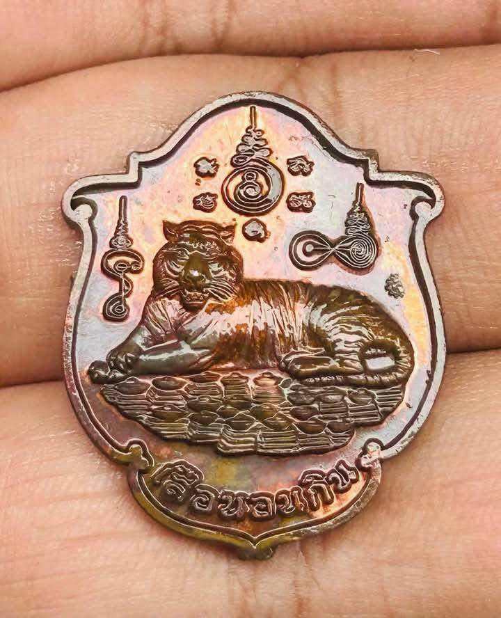 ⚡ Harness the Fierce Power of the Sleeping Tiger Coin﻿ – Blessed by Phra Ajarn Prasoot with Potent Tiger Oil Empowerment! ⚡ Default Title