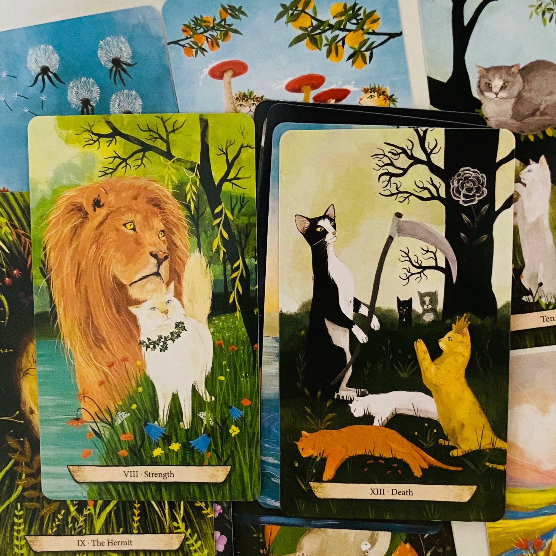 🃏 Enchanted Forest Felines Tarot Cards – 78 Cards Deck Featuring The Power of Cat-omancy, Perfect for Cat Lovers and Spiritual Readings