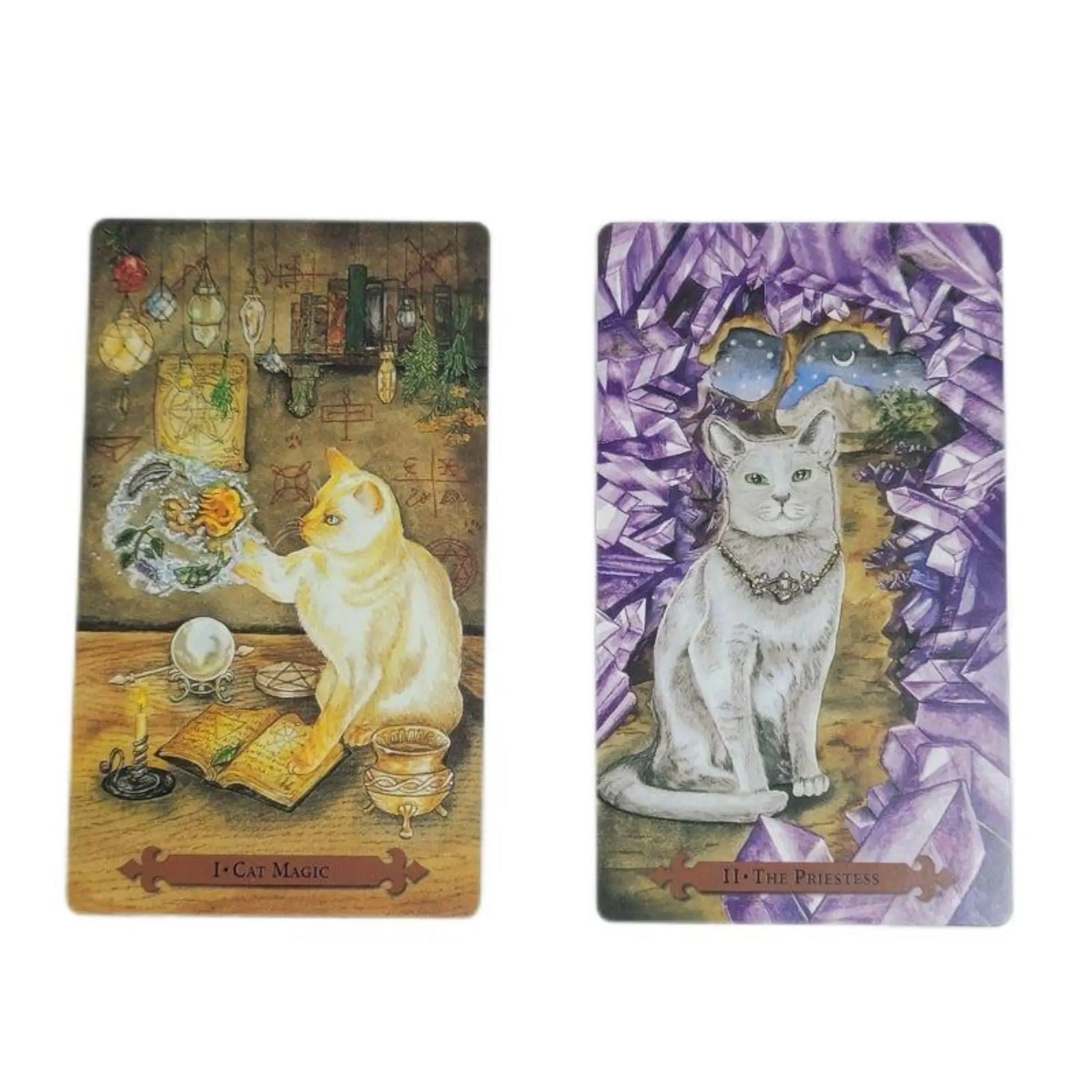 Mystical Cat Tarot – 78-Card English Deck | Cat-Themed Oracle Cards for Parent-Child Interaction and Party Games (12 x 7 cm)