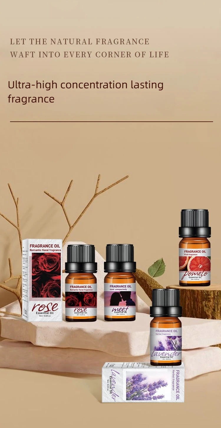 🚗 10ml Car Natural Plant Essential Oil – Water-Soluble Aromatic Refill for Auto Diffuser, Humidifier, and Air Freshener﻿