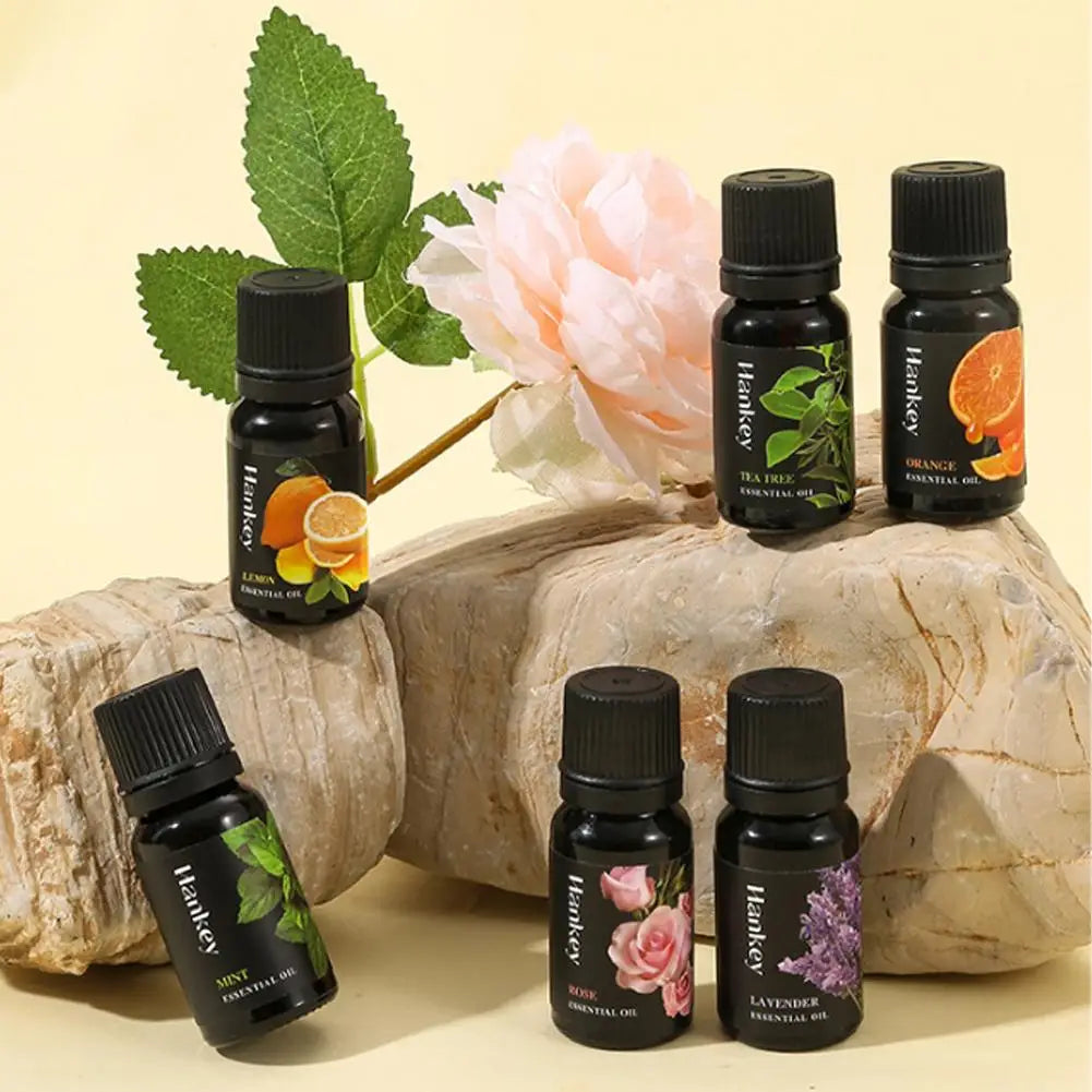 🌿 Aromatherapy Essential Oil Set – 10ml Bottles | Natural Plant Extracts | Lemon, Eucalyptus, Lavender, Jasmine, Rose, Mint, Orange | Diffuser, Humidifier & Air Freshener | Pure Fragrance for Relaxation & Wellness