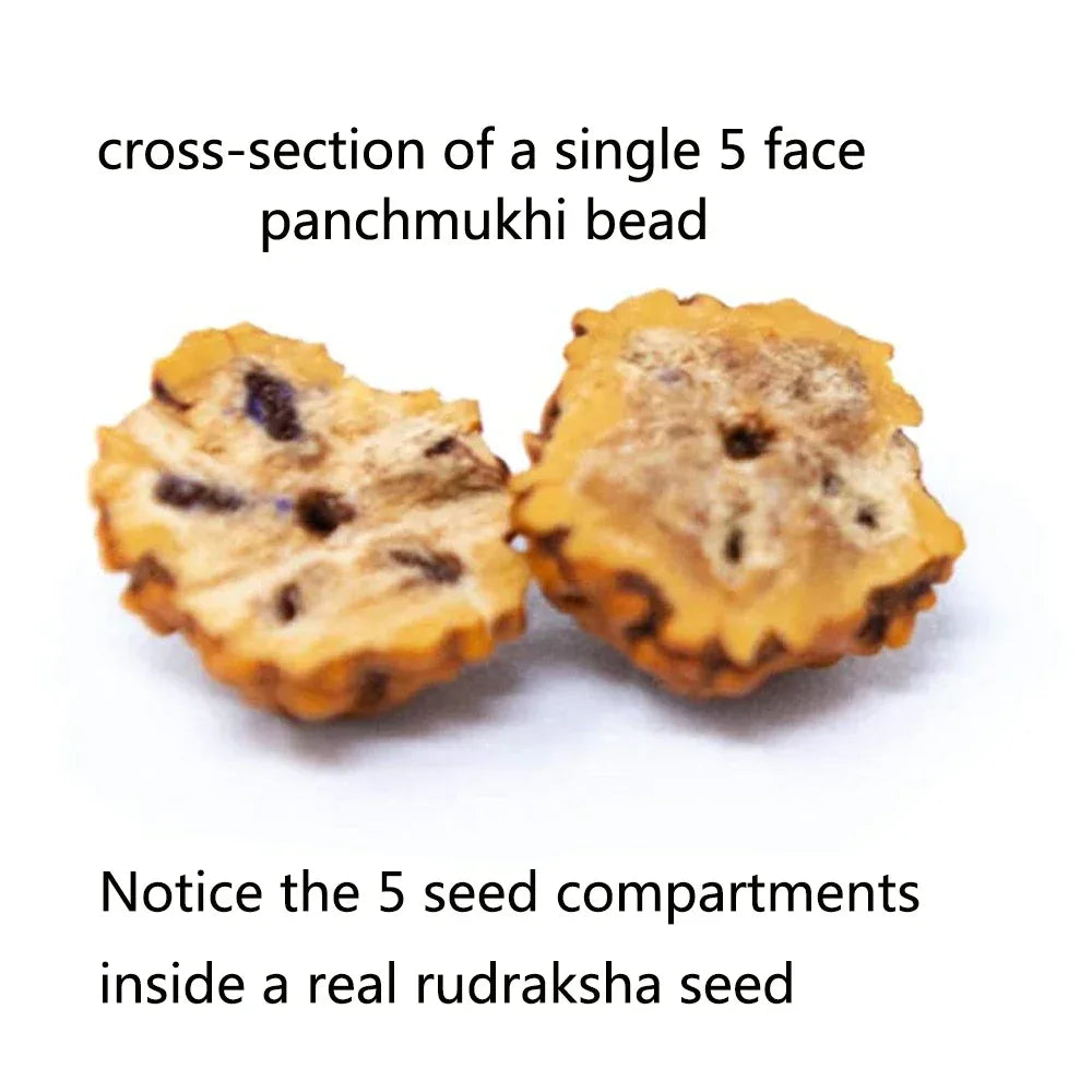 🕉️ The "Tears of Shiva" Collection: Authentic 5-Mukhi Rudraksha Knotted 108 Mala & Bracelet