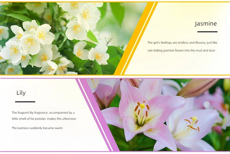 🌟 17 Flavors 10ml Essential Oils for Aroma Diffuser – Water-Soluble Natural Fragrance Oils for Home and AirHumidifier﻿