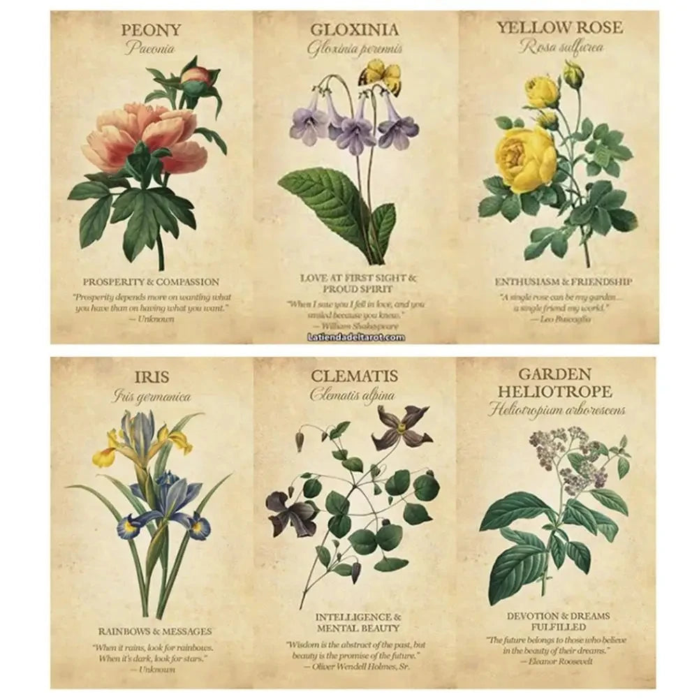 Botanical Inspiration Oracle Cards – 45-Card English Deck with PDF Guidebook for Personal Use & Board Games