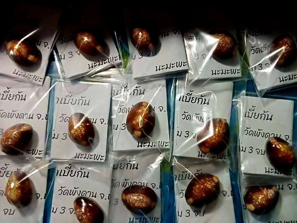 🐚 Sacred Mercury-Filled Phaya Shell Amulet – Blessed by Luang Phor Pleung, Wat Phang Dan, Phatthalung (Khao-Or Lineage)