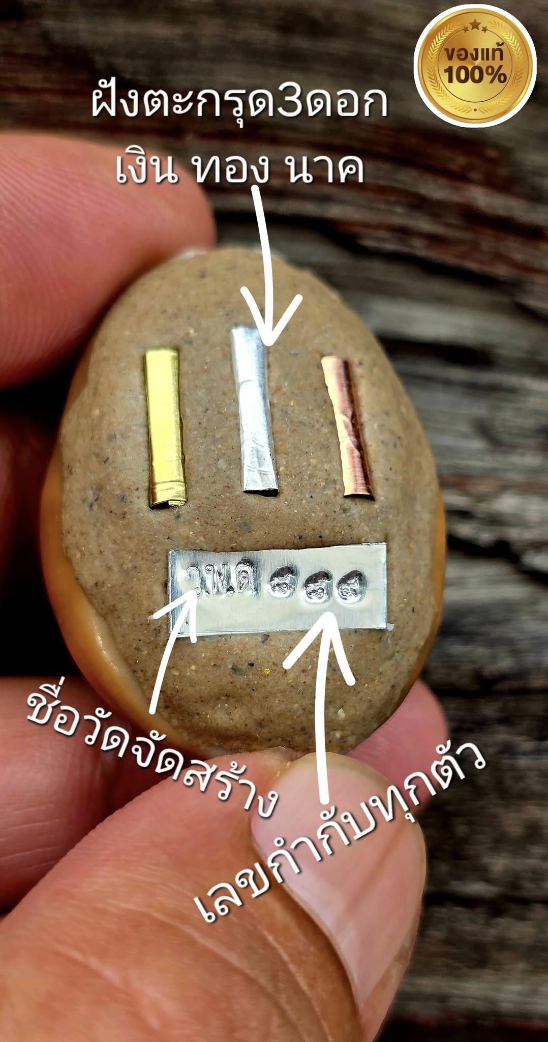 🐚 Sacred Mercury-Filled Phaya Shell Amulet – Blessed by Luang Phor Pleung, Wat Phang Dan, Phatthalung (Khao-Or Lineage)