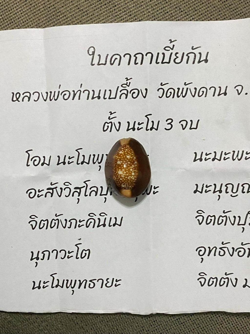 🐚 Sacred Mercury-Filled Phaya Shell Amulet – Blessed by Luang Phor Pleung, Wat Phang Dan, Phatthalung (Khao-Or Lineage)