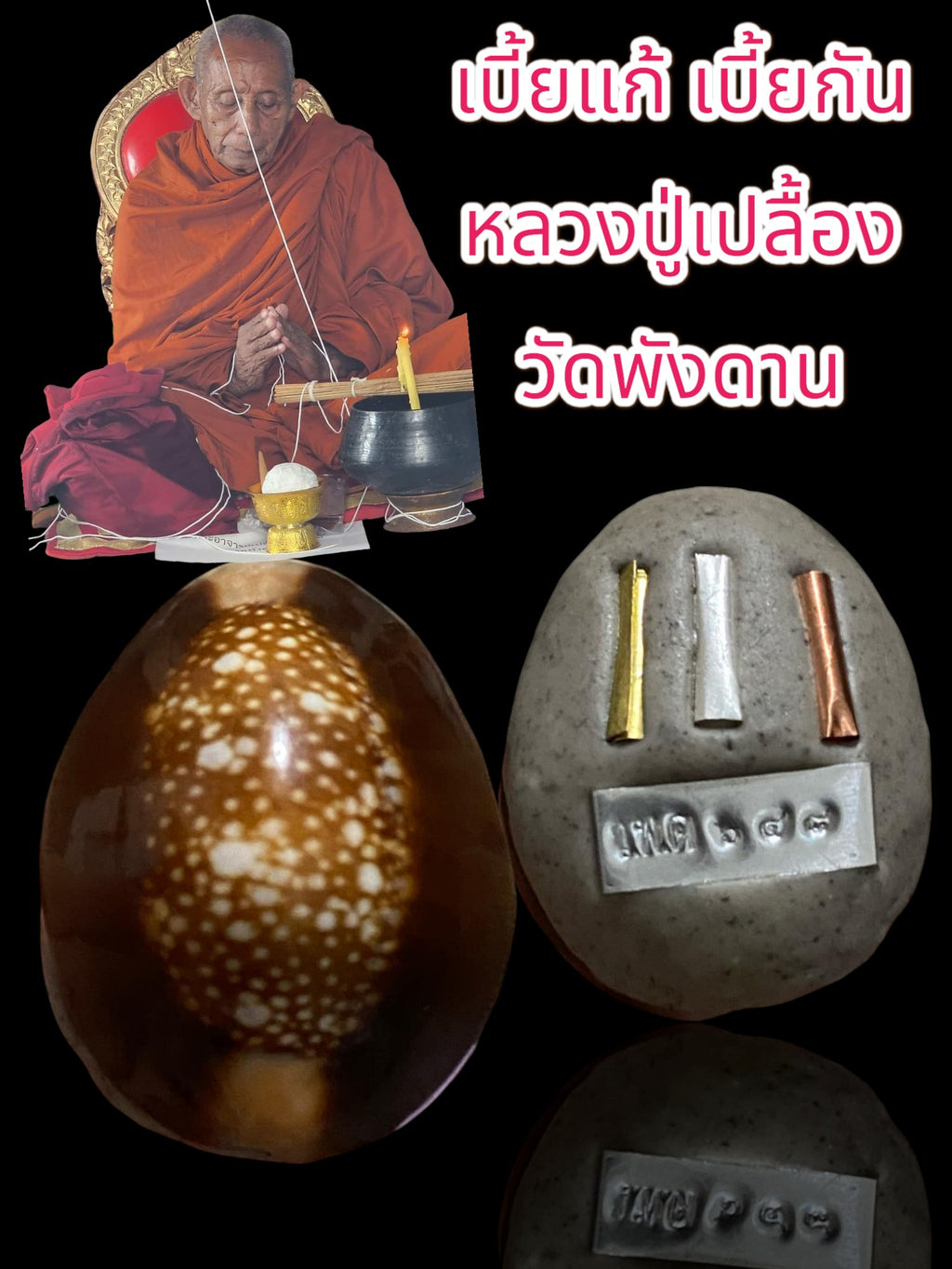 🐚 Sacred Mercury-Filled Phaya Shell Amulet – Blessed by Luang Phor Pleung, Wat Phang Dan, Phatthalung (Khao-Or Lineage)