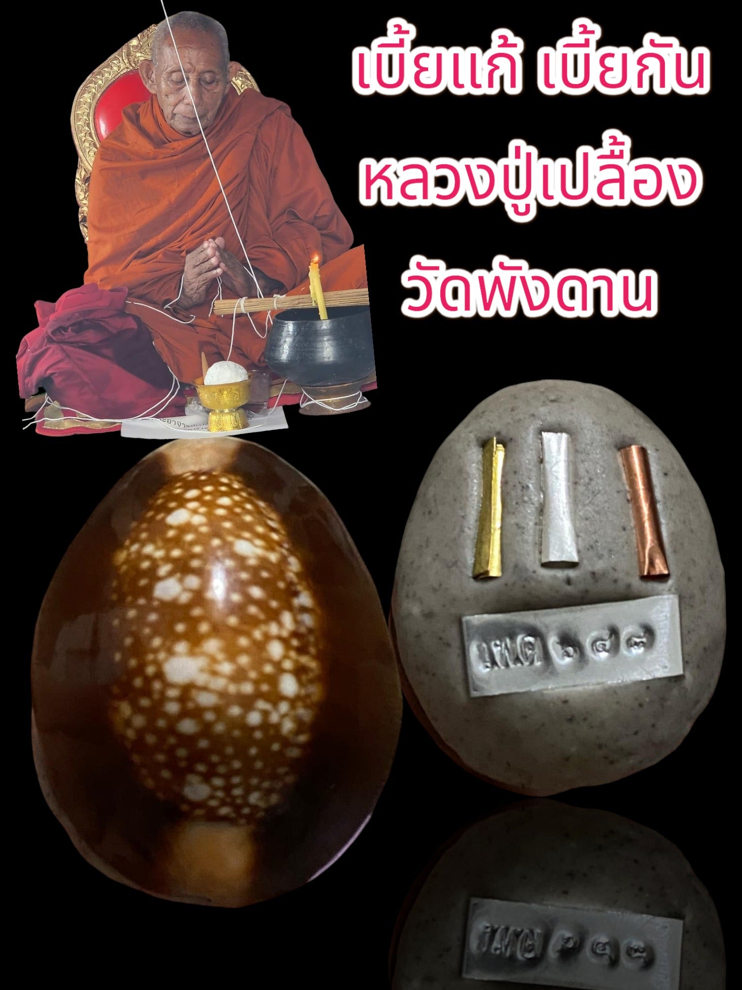 🐚 Sacred Mercury-Filled Phaya Shell Amulet – Blessed by Luang Phor Pleung, Wat Phang Dan, Phatthalung (Khao-Or Lineage)