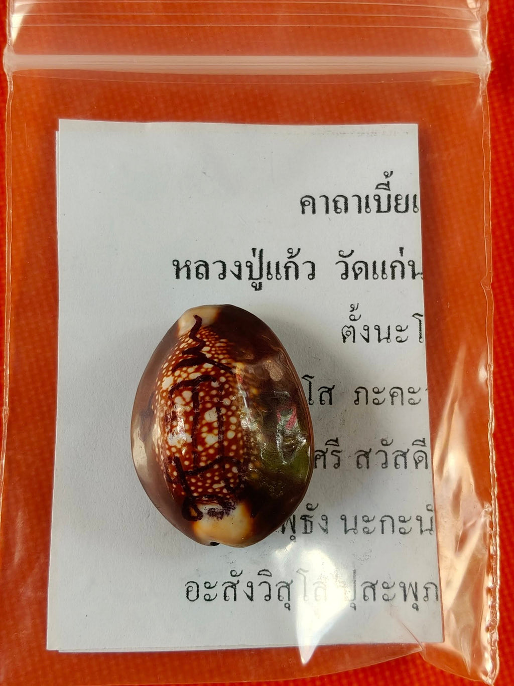 🐚 Sacred Mercury-Filled Phaya Shell Amulet – Blessed by Luang Phor Pleung, Wat Phang Dan, Phatthalung (Khao-Or Lineage)