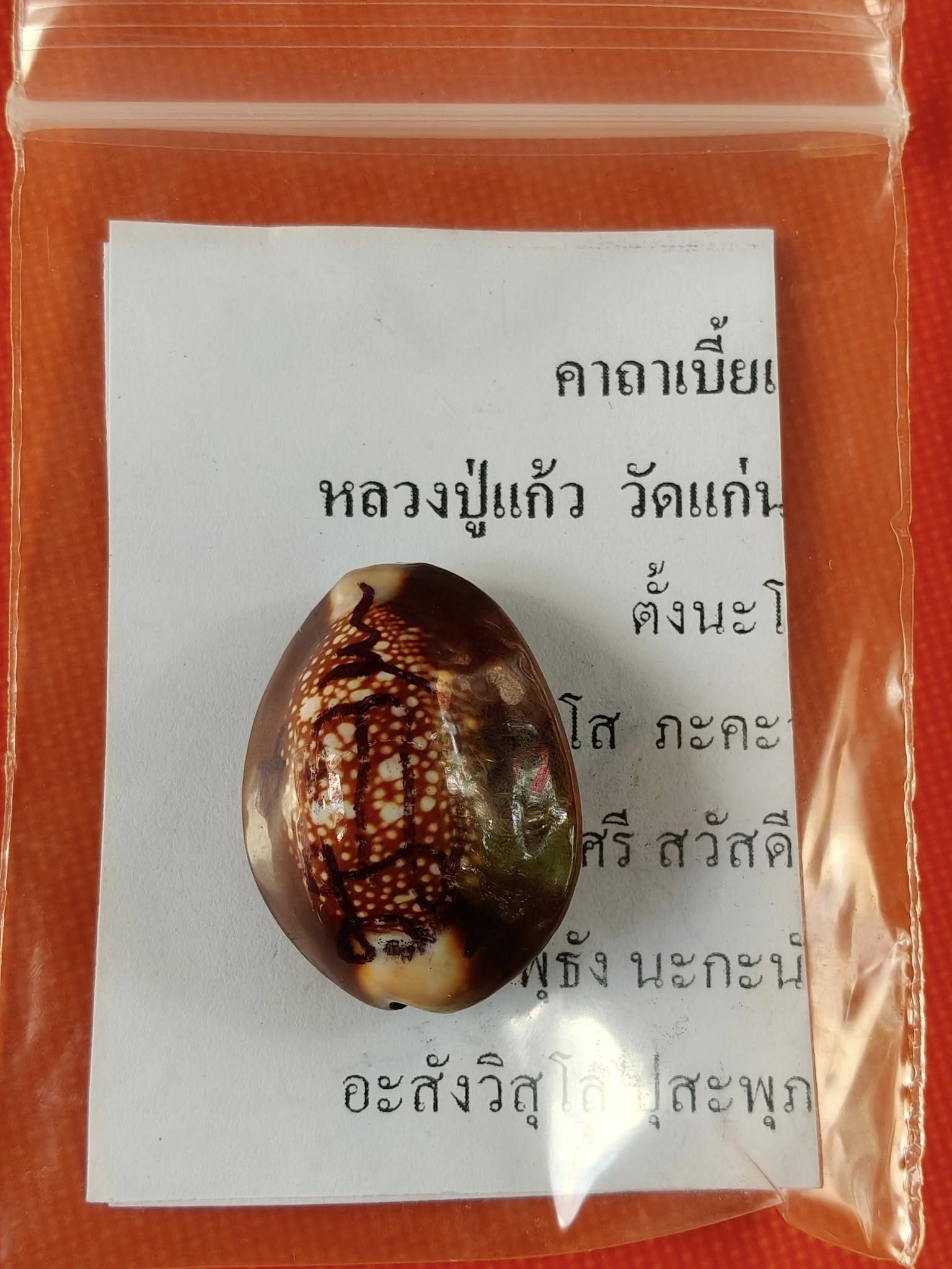 🐚 Sacred Mercury-Filled Phaya Shell Amulet – Blessed by Luang Phor Pleung, Wat Phang Dan, Phatthalung (Khao-Or Lineage)