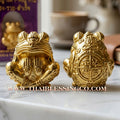 🐸 Sacred "Phaya Kob Khot Setthi" (The Billionaire Frog King) – Kruba Kamfan, Wat Kor Choke, Chiang Mai (2021) – The Ultimate Engine for Explosive Trade, Swallowing Debt, and Manifesting Sovereign Riches!