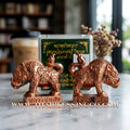 ✨🐗 Sacred "Phraya Mu Pa Maha Lap" (The Great Wealth Boar) – Samrit Bronze Edition: Luang Pu Saen, Wat Ban Nong Jิก (2019 Legacy) – The High-Frequency Tool for Unstoppable Fortune, Market Dominance, and Abundant Success!