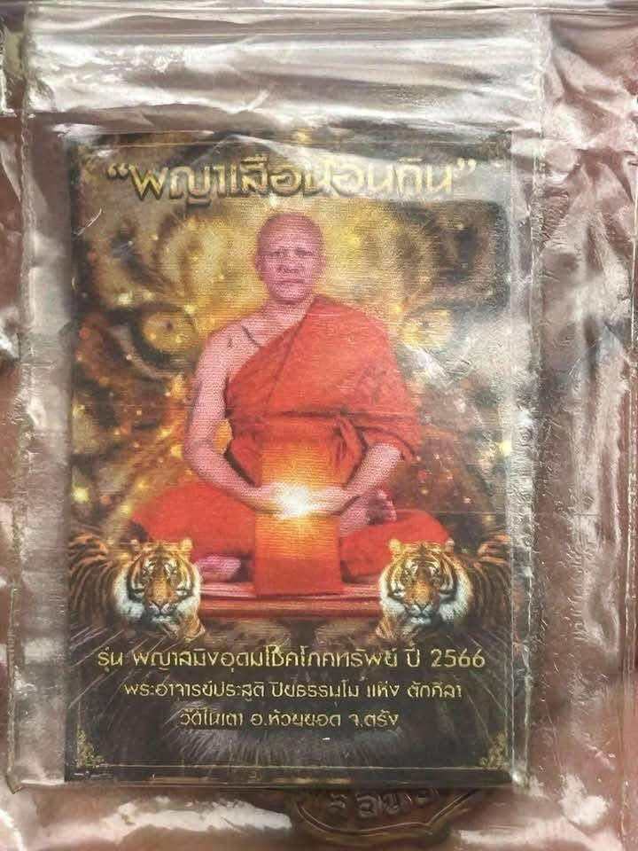 ⚡ Harness the Fierce Power of the Sleeping Tiger Coin﻿ – Blessed by Phra Ajarn Prasoot with Potent Tiger Oil Empowerment! ⚡