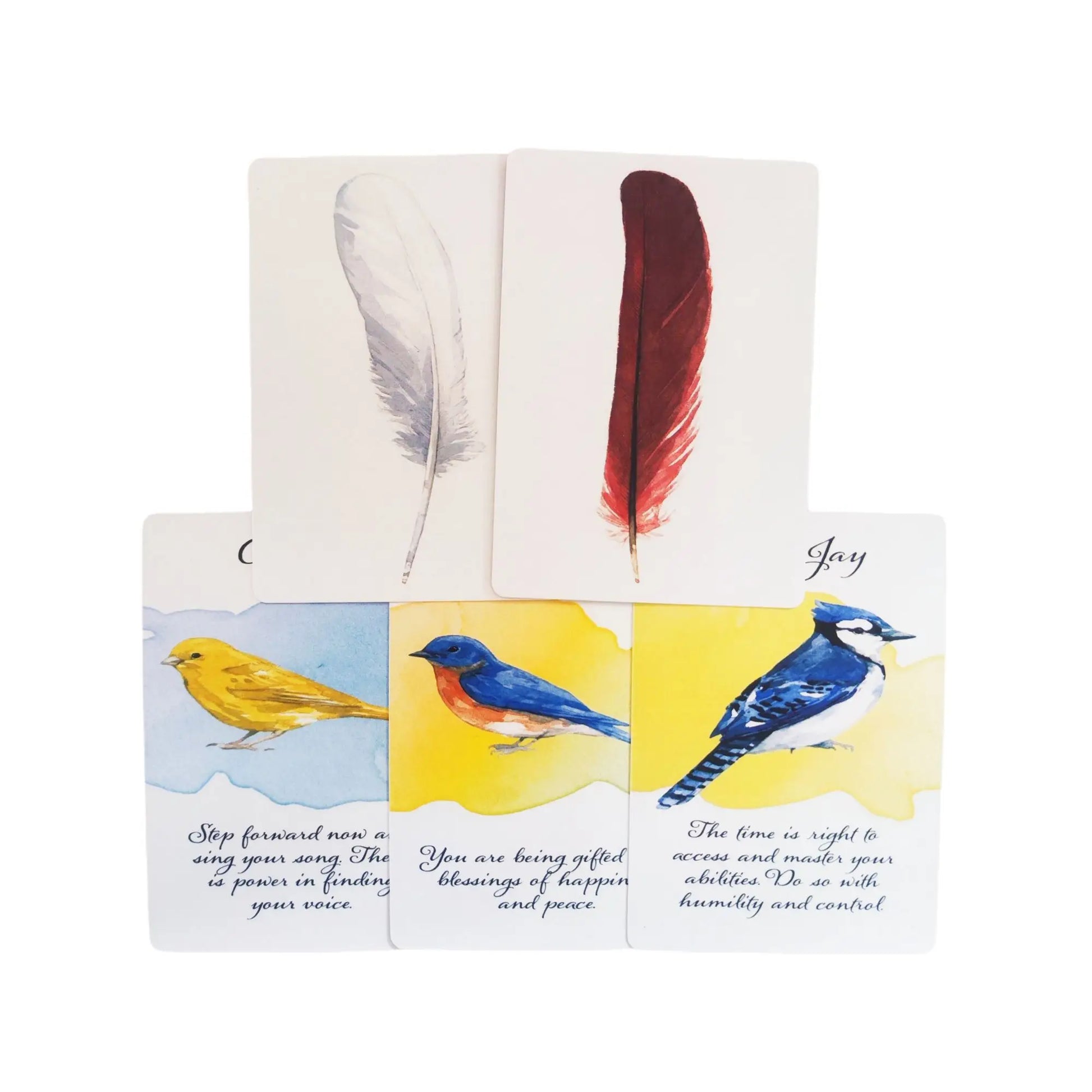 🔥Divine Feather Messenger Tarot Oracle Cards | 44 Bird Symbolism Cards, 10.4x7.3cm for Divination & Board Games